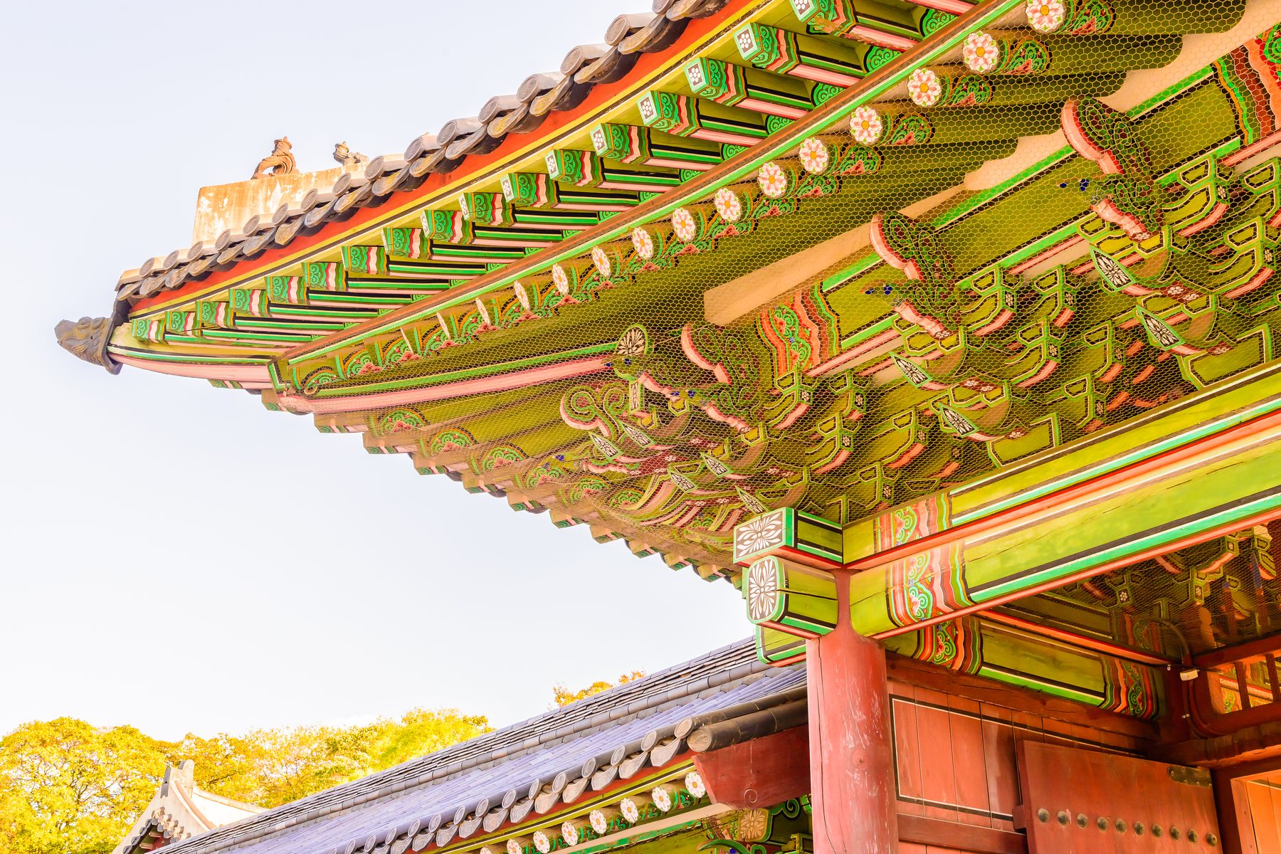 Painted eaves of a palace building at Changdeokgung, with autumn trees below.