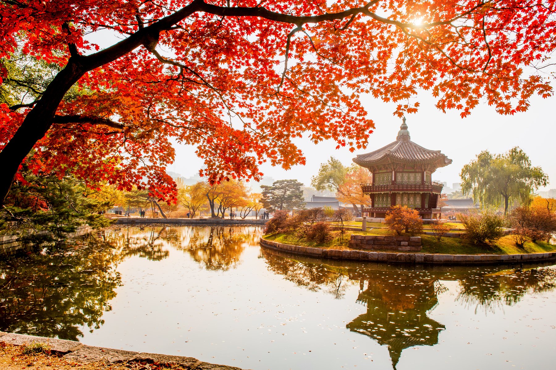 Hyangwonjeong, the hexagonal pavilion at Gyeongbokgung Palace, reflected in its pond on a hazy autumn morning, framed by red maple leaves.